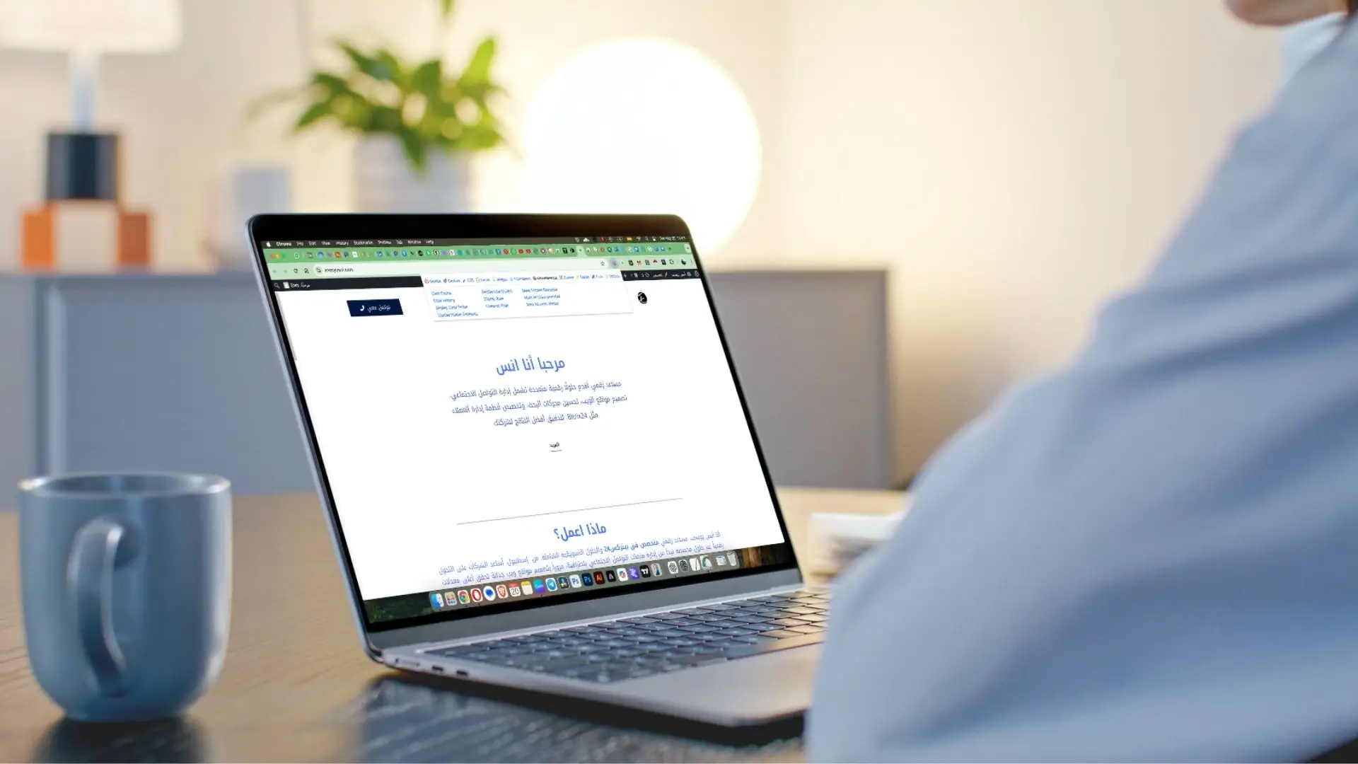 Web Developer chrome extensions for developers